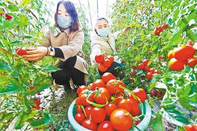 张掖发年农产品公司驰援武汉等地