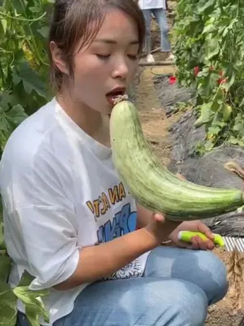 优质农产品 从田间到餐桌的品质保障