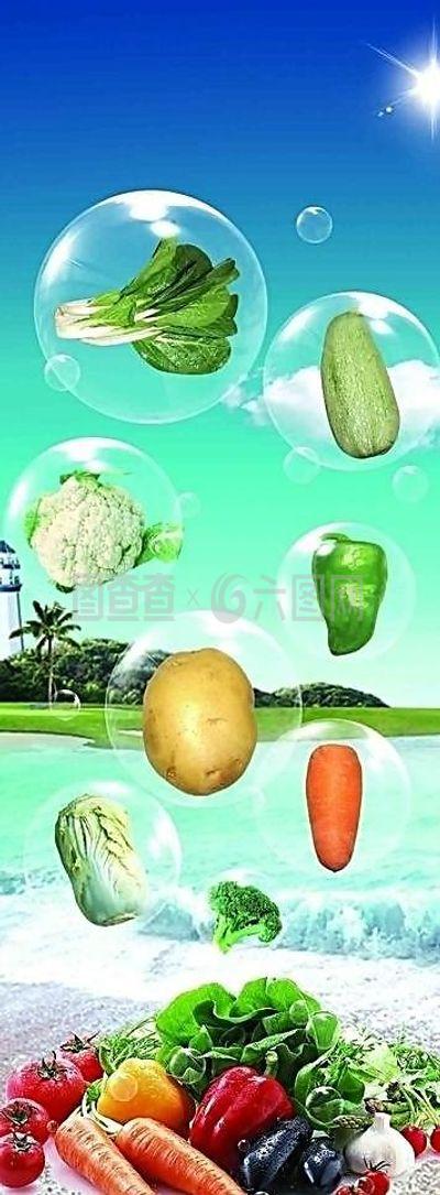 乡野绿意，盘中生机 优质农产品蔬菜海报设计构思