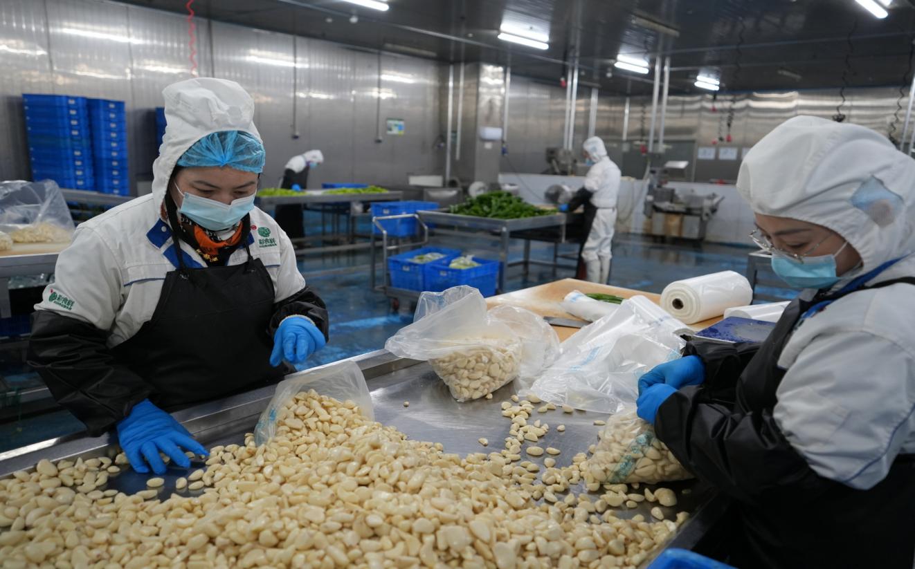 智慧供餐 成都“菜篮子”筑牢民生“鲜”防线